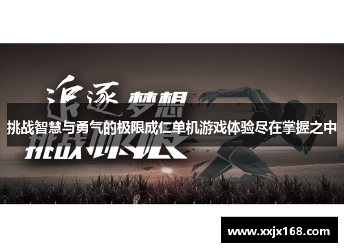 挑战智慧与勇气的极限成仁单机游戏体验尽在掌握之中